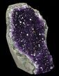Dark Purple Amethyst Cut Base Cluster - Uruguay #36642-2